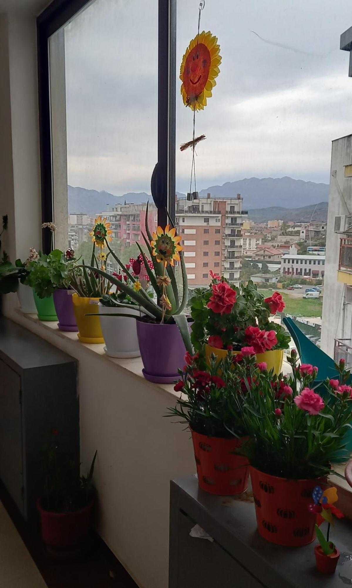 Panoramic Apartment Shkodër 외부 사진